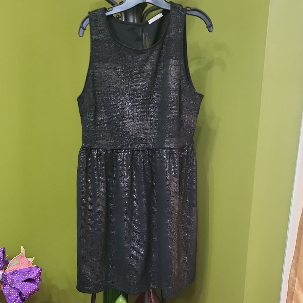 Elegant Black  Dress
